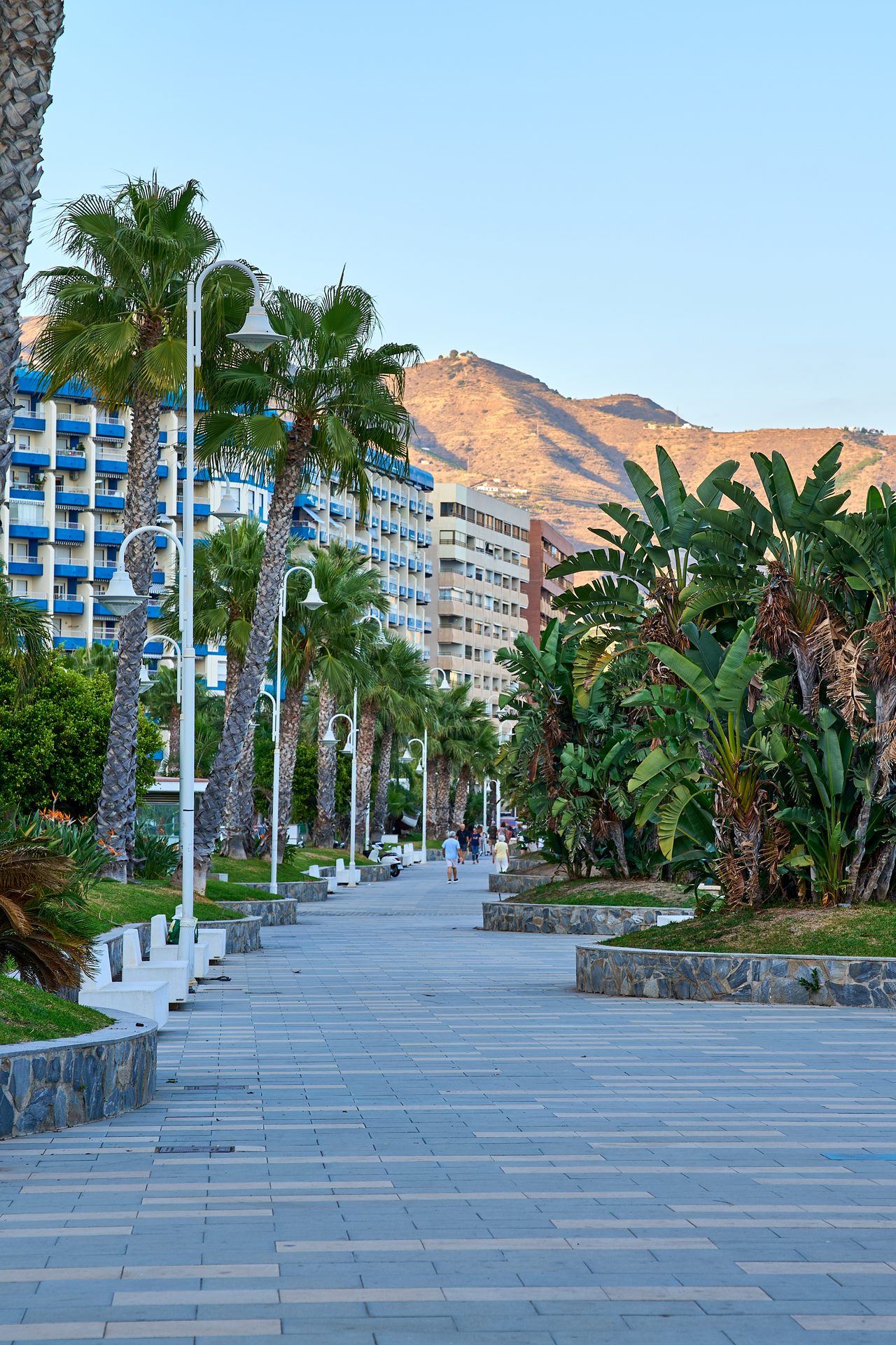 Nadmorska promenada z palmami i apartamentowcami